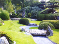 Trädgårdstips med Peter Hilton