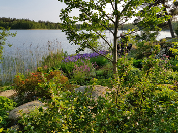 Maj-Britt och Hans Elmviks trädgård i Hedetorpet