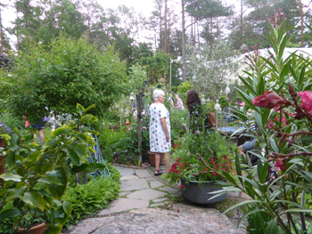 Ulla och Göran Svenssons trädgård på Strömsviksvägen
