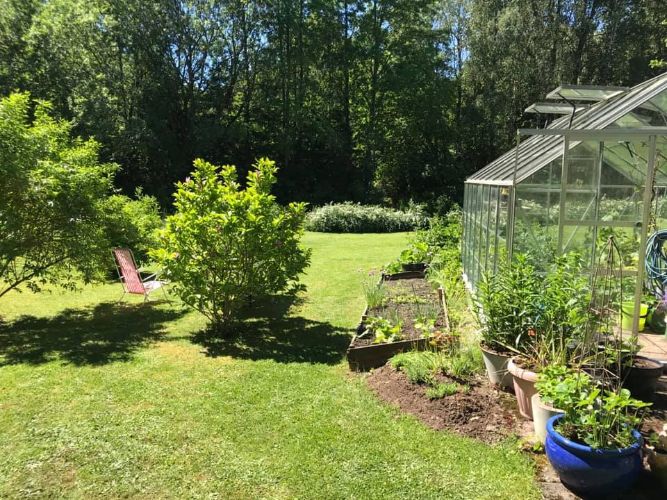 Trädgårdsvy hos Christina Carlsson med buskar, rabatt och ett växthus.