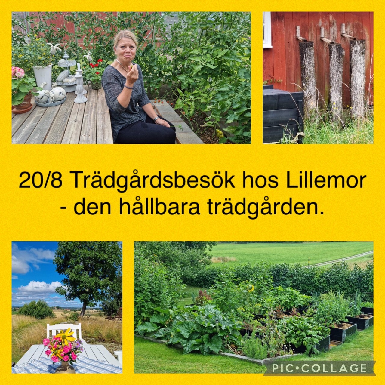Trädgårdsbesök hos Lillemor Lindberg 20 aug 2023